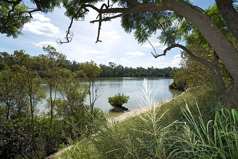 73 Ormadale Road Yeronga Queensland 4104,  - Thumbnail 7
